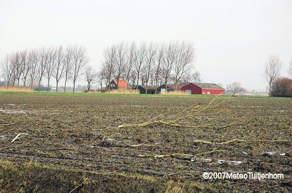 veel takken op een akker